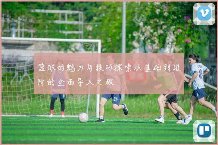 篮球的魅力与技巧探索从基础到进阶的全面导入之旅