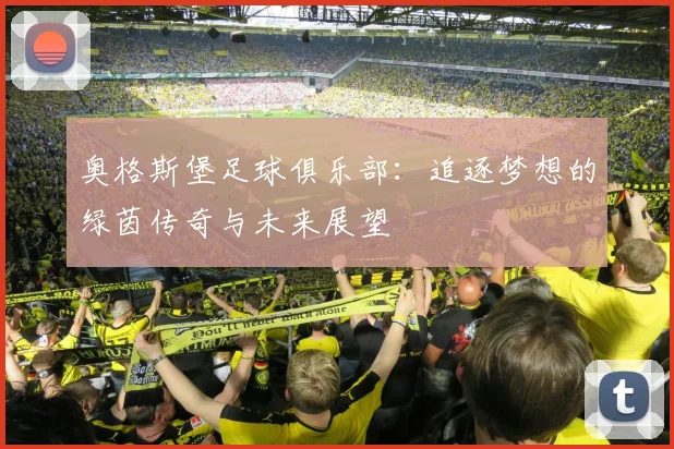 奥格斯堡足球俱乐部：追逐梦想的绿茵传奇与未来展望