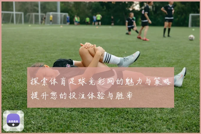 探索体育足球竞彩网的魅力与策略提升您的投注体验与胜率