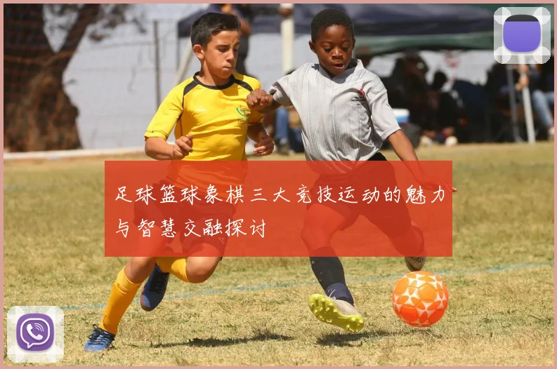 足球篮球象棋三大竞技运动的魅力与智慧交融探讨