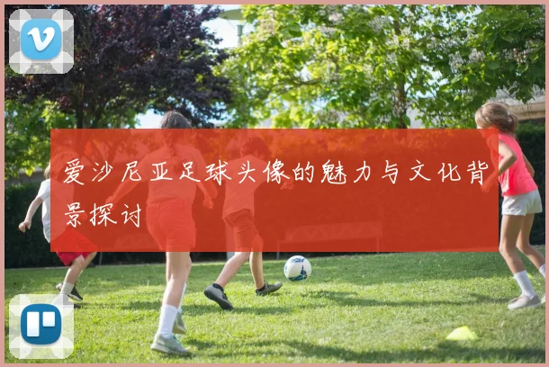 爱沙尼亚足球头像的魅力与文化背景探讨